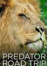 Watch Predator Road Trip Xmovies8