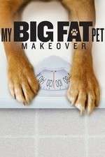 Watch My Big Fat Pet Makeover Xmovies8