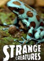 Watch Strange Creatures Xmovies8
