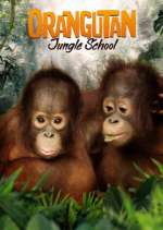 Watch Orangutan Jungle School Xmovies8