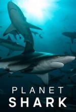 Watch Planet Shark Xmovies8