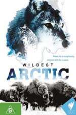 Watch Wildest Arctic Xmovies8