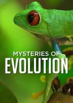 Watch Mysteries of Evolution Xmovies8
