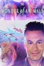 Watch The Wonder of Animals Xmovies8