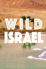 Watch Wild Israel Xmovies8