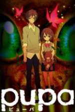 Watch Pupa Xmovies8