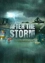Watch After the Storm Xmovies8