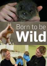 Watch Born to Be Wild Xmovies8