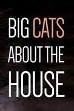 Watch Big Cats About the House Xmovies8