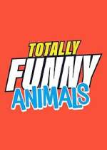 Totally Funny Animals xmovies8