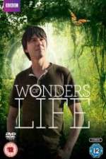 Watch Wonders Of Life Xmovies8