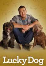 Watch Lucky Dog Xmovies8