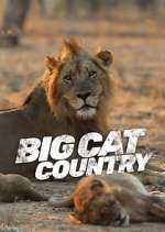 Watch Big Cat Country Xmovies8