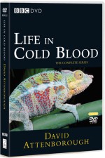 Watch Life in Cold Blood Xmovies8