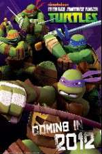 Watch Teenage Mutant Ninja Turtles Xmovies8