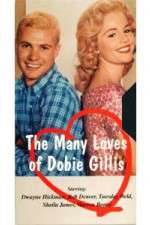 Watch The Many Loves of Dobie Gillis Xmovies8