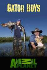 Watch Gator Boys Xmovies8