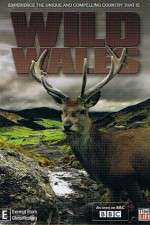 Watch Wild Wales Xmovies8