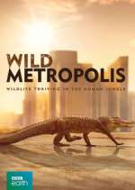 Watch Wild Metropolis Xmovies8