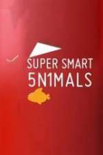 Watch Super Smart Animals Xmovies8