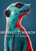 Watch Meerkat Manor: Rise of the Dynasty Xmovies8