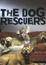 Watch The Dog Rescuers with Alan Davies Xmovies8