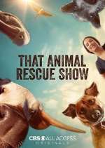 Watch That Animal Rescue Show Xmovies8
