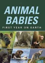 Watch Animal Babies: First Year on Earth Xmovies8