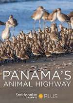 Watch Panama's Animal Highway Xmovies8