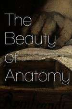 Watch The Beauty of Anatomy Xmovies8