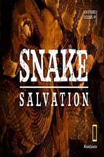 Watch Snake Salvation Xmovies8