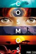 Watch Cosmos A SpaceTime Odyssey Xmovies8