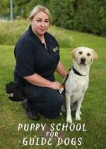 Watch Puppy School for Guide Dogs Xmovies8