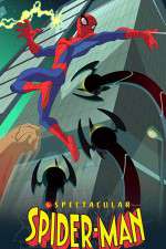 Watch The Spectacular Spider-Man Xmovies8