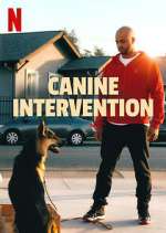 Watch Canine Intervention Xmovies8