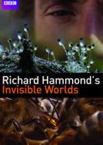 Watch Richard Hammond's Invisible Worlds Xmovies8