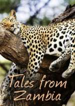 Watch Tales from Zambia Xmovies8