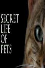 Watch The Secret Life of Pets Xmovies8