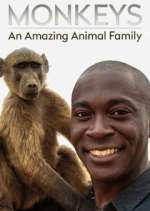 Watch Monkeys: An Amazing Animal Family Xmovies8