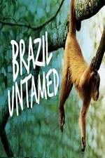 Watch Brazil Untamed Xmovies8