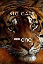 Watch Big Cats Xmovies8
