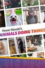 Watch Howie Mandel\'s Animals Doing Things Xmovies8