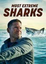 Watch Most Extreme Sharks Xmovies8