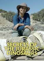 Watch Secrets of the Jurassic Dinosaurs Xmovies8