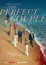 Watch The Perfect Couple Xmovies8