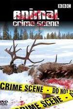 Watch Animal Crime Scene Xmovies8