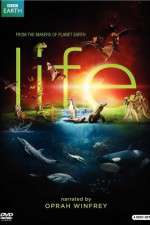 Watch Life Xmovies8