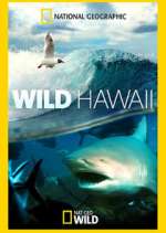 Watch Wild Hawaii Xmovies8