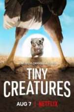 Watch Tiny Creatures Xmovies8
