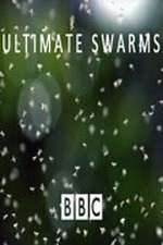 Watch Ultimate Swarms Xmovies8